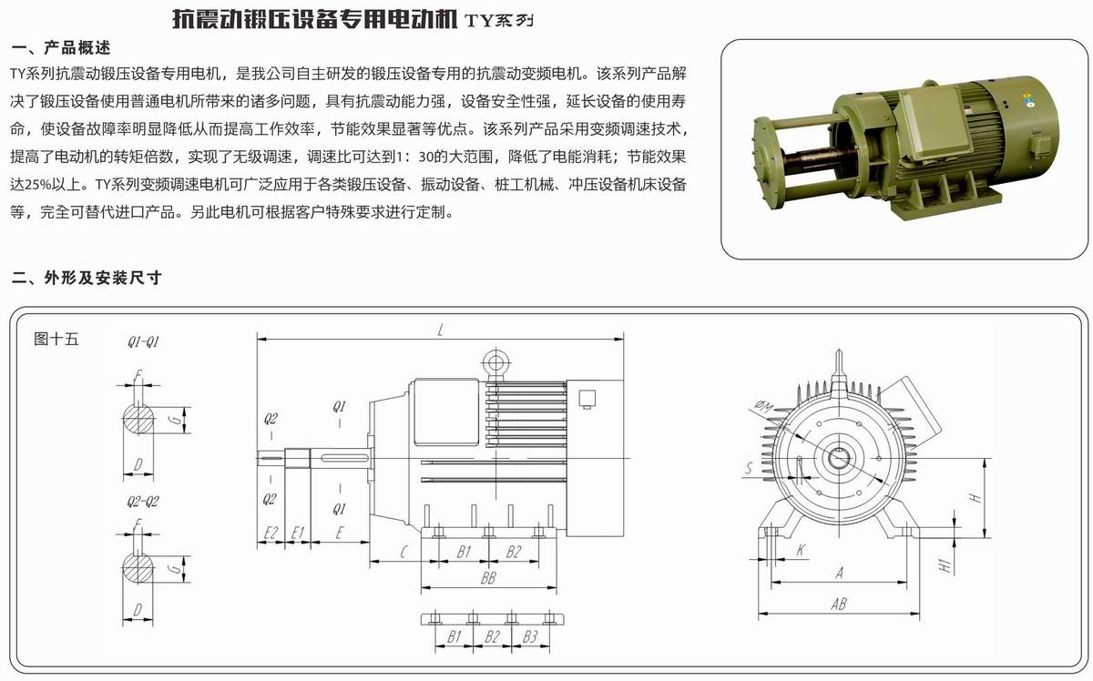 抗震動(dòng)鍛壓設(shè)備專用電動(dòng)機(jī)  TY系列 01